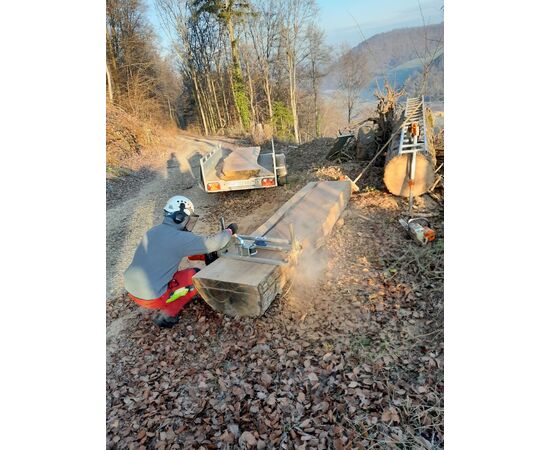 Stihl MS 881C Anbausägewerk SW 700